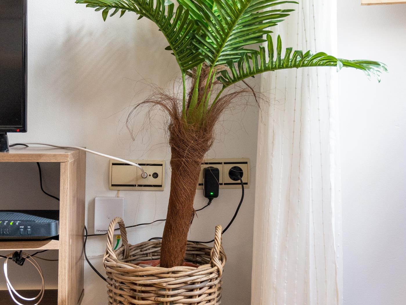 Blue Soho Apartment in Málaga