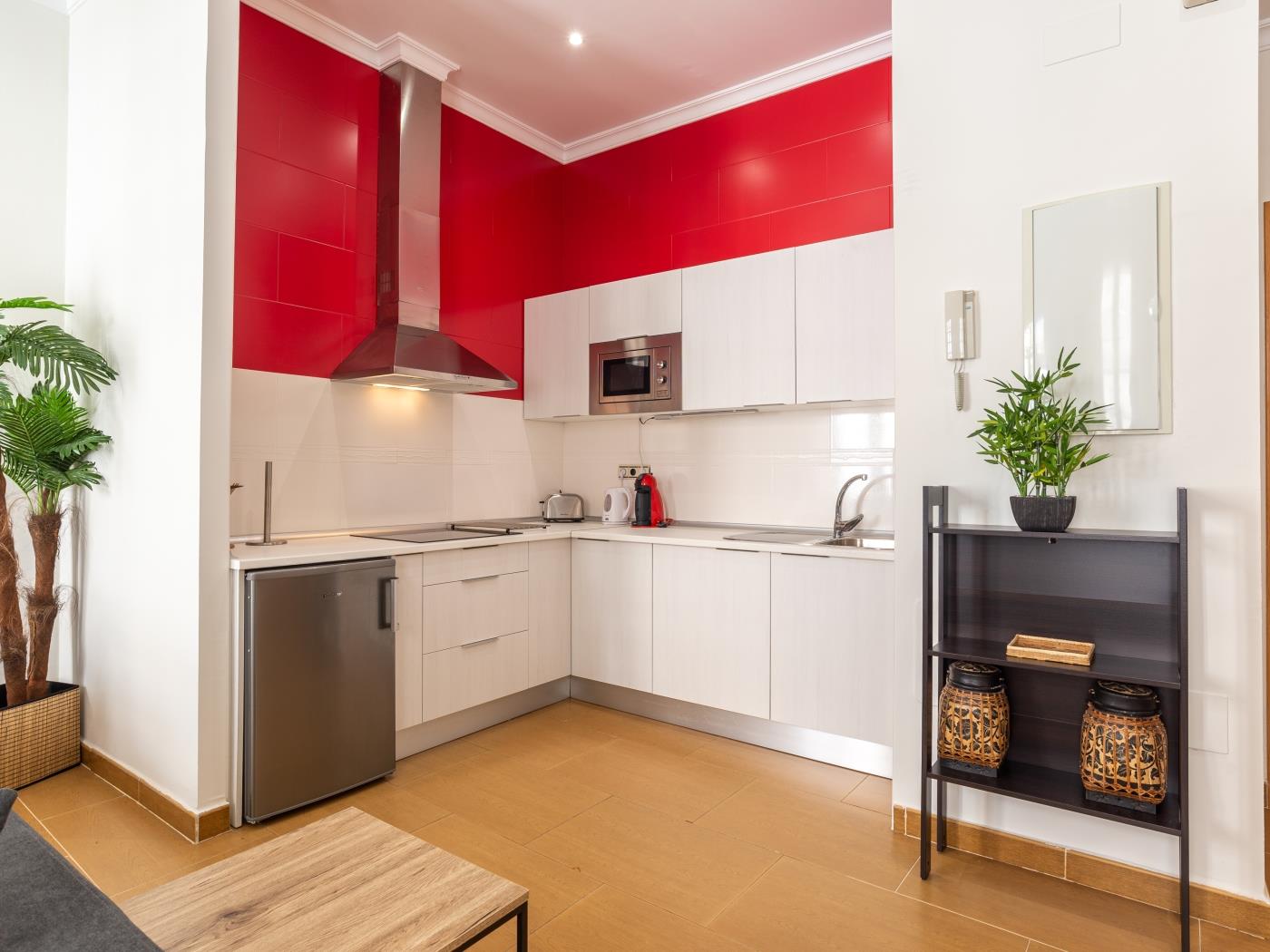 Red Soho Apartment in Málaga